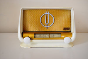 Made in France Mid Century Vintage 1951 Ducretet Thomson Model D3923 Vacuum Tube Radio Vive La France!