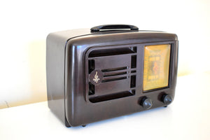 Bluetooth Ready To Go - Siena Brown Bakelite 1947 Emerson Model 507 AM Vacuum Tube Radio Sounds Marvelous!