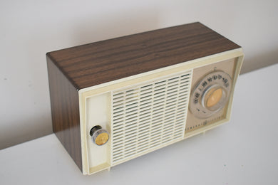 Bluetooth Ready To Go - Wood Paneling and White 1966 General Electric Model T-199D AM Vacuum Tube Radio Works Great!