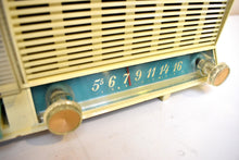 Charger l&#39;image dans la galerie, Seafoam Turquoise 1961 GE General Electric Model C-445A AM Vintage Radio Rare Color Colorway Push Button Mania!