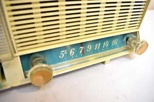 Seafoam Turquoise 1961 GE General Electric Model C-445A AM Vintage Radio Rare Color Colorway Push Button Mania!