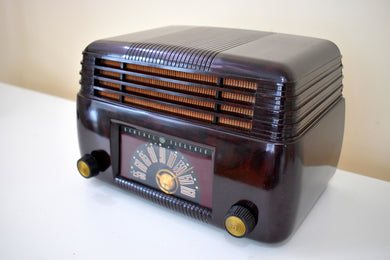 Marble Brown 1946 General Electric Model 100 Vacuum Tube AM Clock Radio Excellent Condition Great Sounding!