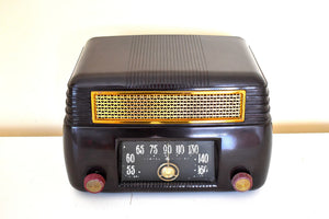 Marble Brown 1946 General Electric Model 202 Vacuum Tube AM Radio Excellent Condition Great Sounding!