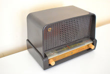 画像をギャラリービューアに読み込む, モカ ブラウン ベークライト 1950 ゼネラル エレクトリック モデル 402 真空管 AM ラジオのサウンドは非常に良好な状態です。