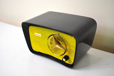 Bumblebee Black and Yellow 1957 Hallicrafters Model HT-203 AM Vacuum Tube Radio Cute As A Button!