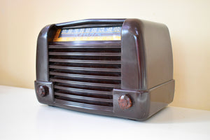 Handsome 1946 Mantola Model R654-PM Marble Brown Bakelite Vacuum Tube AM Clock Radio Excellent Condition Excellent Condition and Sound!