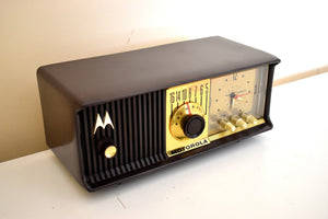 チョコレートブラウン ミッドセンチュリー 1956年 モトローラモデル 56CD 真空管 AM クロックラジオ 音が素晴らしい！ミントコンディション！