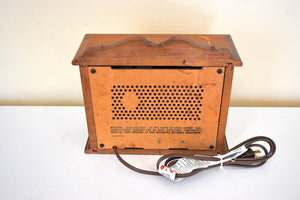 Royal Oak 1968 Motorola Model TT23FS Solid State Transistor AM FM  Radio Sounds Great! Little Kitchen Screamer!