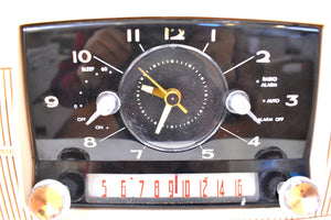 パステル ピンク 1957 ゼネラル エレクトリック モデル 913D 真空管 AM クロック ラジオ 素晴らしいプラスコンディション！