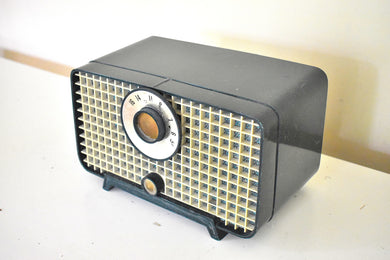 Forest Green Mid Century 1959 Philco Model D-595-124 vacuum Tube AM Radio Rare Model Sounds Like Boombox!