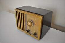 Load image into Gallery viewer, Bluetooth MP3 Ready To Go - 1947 RCA Victor Model 75X11 AM Brown Bakelite Vacuum Tube Radio Classic and Classy! Great Sounding!