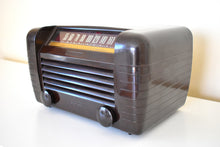 Load image into Gallery viewer, Magnificent Brown Bakelite 1946 RCA Victor Model 65X1 Vacuum Tube AM Radio Near Mint Condition Loud and Clear!