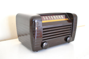 Magnificent Brown Bakelite 1946 RCA Victor Model 65X1 Vacuum Tube AM Radio Near Mint Condition Loud and Clear!