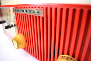 カーディナル レッド 1955 モトローラ モデル 56CS3A AM 真空管ラジオ 素晴らしいサウンド レッドホットな外観!