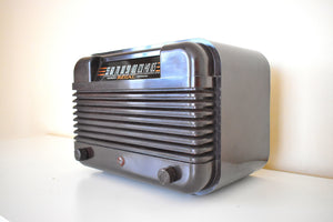 Espresso Brown Bakelite 1946 Regal Model 205 Vacuum Tube AM Radio Sounds Great Excellent Plus Condition!