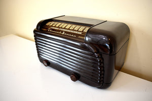 Streamline Glossy Bakelite 1948 Stewart Warner Model A41T1 Vacuum Tube AM Radio Sounds Great and Clean As A Whistle!