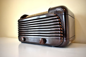 Streamline Glossy Bakelite 1948 Stewart Warner Model A41T1 Vacuum Tube AM Radio Sounds Great and Clean As A Whistle!