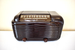 Streamline Glossy Bakelite 1948 Stewart Warner Model A41T1 Vacuum Tube AM Radio Sounds Great and Clean As A Whistle!