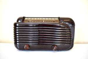 Streamline Glossy Bakelite 1948 Stewart Warner Model A41T1 Vacuum Tube AM Radio Sounds Great and Clean As A Whistle!