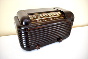 Streamline Glossy Bakelite 1948 Stewart Warner Model A41T1 Vacuum Tube AM Radio Sounds Great and Clean As A Whistle!