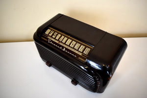 Streamline Glossy Bakelite 1948 Stewart Warner Model A41T1 Vacuum Tube AM Radio Sounds Great and Clean As A Whistle!