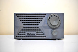 Bluetooth Ready To Go - Grigio Grey Silvertone 1A 1950s AM Vacuum Tube Radio Sleek Styling! Excellent Condition!