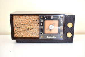 Sienna Brown 1956 Silvertone Model 7006  AM Vacuum Tube Radio Looks Great Sounds Marvelous!