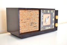 Load image into Gallery viewer, Sienna Brown 1956 Silvertone Model 7006  AM Vacuum Tube Radio Looks Great Sounds Marvelous!