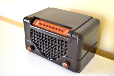 Espresso Brown Bakelite 1948 Trav-Ler Model 5066 AM Vacuum Tube Radio Cute As A Button!