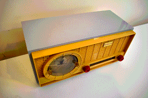 Never Before Seen Color Combo 1959 Truetone Model 59C22 AM Vacuum Tube Radio Outta Control!