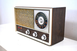 Bluetooth Ready To Go - 1960s Lloyds Vornado AM FM Model TM-77 Vacuum Tube Radio Near Mint Condition!