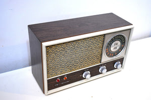 Bluetooth Ready To Go - 1960s Lloyds Vornado AM FM Model TM-77 Vacuum Tube Radio Near Mint Condition!