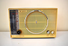 Load image into Gallery viewer, Dual Speaker Oak Wood Cabinet 1964 Zenith Model  H845 AM/FM Radio Mammoth Sound!