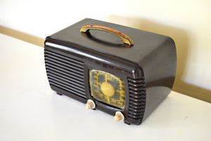 Mocha Brown 1942 Zenith Model 6-D-510 AM Vacuum Tube Radio Beauty of Bakelite!