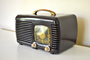 モカブラウン 1942年ゼニスモデル 6-D-510 AM真空管ラジオ ベークライトの美しさ！