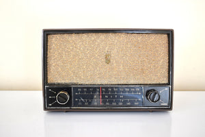 Nutmeg Brown 1950 Zenith Model C-724 AM/FM Vacuum Tube Radio Sounds Great Excellent Condition!