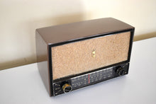 画像をギャラリービューアに読み込む, ナツメグ ブラウン 1950 ゼニス モデル C-724 AM/FM 真空管ラジオのサウンドは非常に良好な状態です。