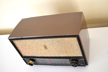 Load image into Gallery viewer, Nutmeg Brown 1950 Zenith Model C-724 AM/FM Vacuum Tube Radio Sounds Great Excellent Condition!