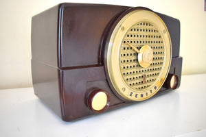 Bluetooth Ready To Go - Umber Brown Bakelite 1953 Zenith Model K526 Vacuum Tube AM Radio Sounds Great!