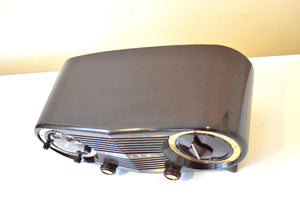エスプレッソ ブラウン ベークライト 1954 ゼニス オウル アイズ モデル L515 AM 真空管ラジオ 状態良好！素晴らしいサウンド!