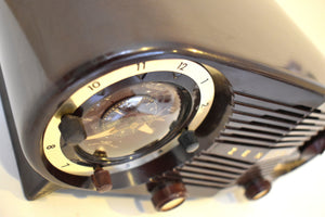 Espresso Brown Bakelite 1954 Zenith Owl Eyes Model L515 AM Vacuum Tube Radio Excellent Condition! Great Sounding!