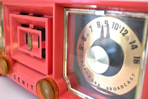 ホット ピンク ヴィンテージ 1955 ゼニス モデル R519V AM 真空管時計ラジオは動作し、見た目も素晴らしいです。