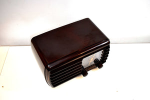 Umber Brown 1942 Zenith Model 5D-611 AM Vacuum Tube Radio Beauty of Bakelite!