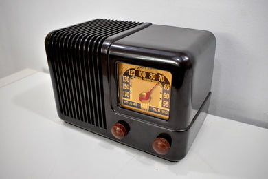 Espresso Brown Bakelite 1943 Trav-Ler Model 5002 AM Vacuum Tube Radio Cute As A Button!