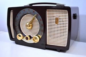 Cabana Brown Mid Century 1955 Zenith Y724 AM/FM Vacuum Tube Radio Popular Model!