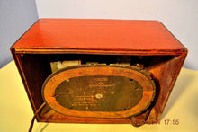Charger l&#39;image dans la galerie, SOLD! - Feb 28, 2014 - BEAUTIFUL Wood Vintage Retro 1946 Emerson Model 509 AM Tube Radio Works! Wow! - [product_type} - Emerson - Retro Radio Farm