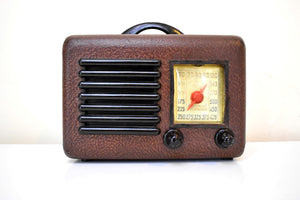 本革 1946 年一般テレビ モデル 1A5 真空管 AM ラジオ動作良好!