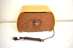Mayan Temple Gold Catalin 1946 FADA Model 652 Vacuum Tube AM Radio Sounds Great! Clean!