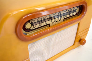 マヤ寺院ゴールド カタリン 1946 FADA モデル 652 真空管 AM ラジオのサウンドは素晴らしいです。クリーン！