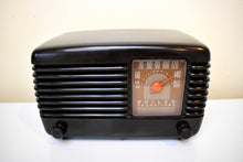 Load image into Gallery viewer, Marble Brown 1948 Philco Transitone 48-200 AM Bakelite Vacuum Tube Radio Sounds Great! Beauty to Behold!